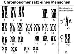 Bild vergrößern!