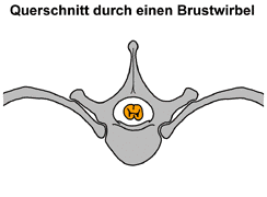 Bild vergr��ern!