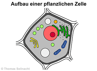 Bild vergrößern!