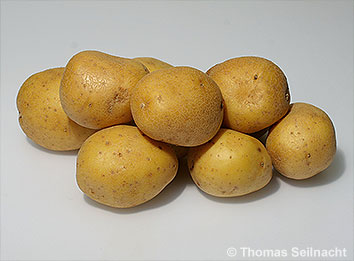 Kartoffeln Eiweißgehalt