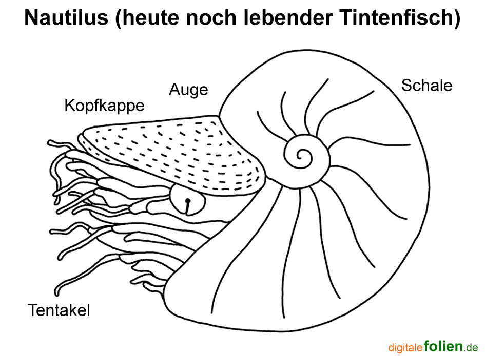 Fenster schlieen!