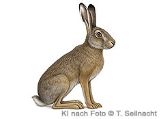 Bild vergr&ouml;&szlig;ern!