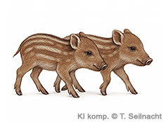 Bild vergr&ouml;&szlig;ern!