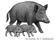 Bild vergr&ouml;&szlig;ern!