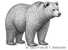 Bild vergr&ouml;&szlig;ern!