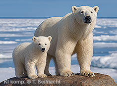 Bild vergr&ouml;&szlig;ern!