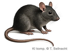 Bild vergr&ouml;&szlig;ern!