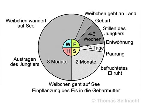 Bild vergrößern!