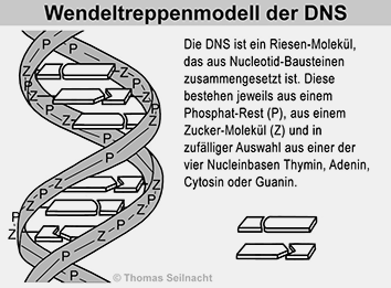 Bild vergr&ouml;&szlig;ern!