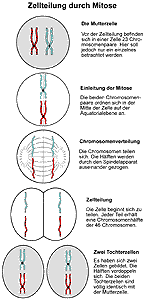 Bild vergrößern!