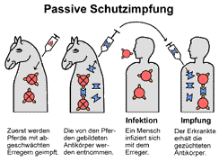 Bild vergrößern!