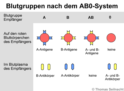 Bild vergrößern!