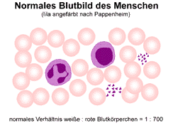 Bild vergrößern!