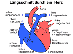 Bild vergrößern!