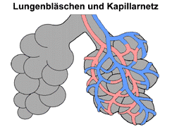 Bild vergrößern!