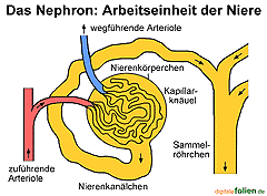 Bild vergrößern!