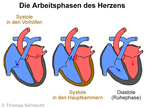 Bild vergrößern!