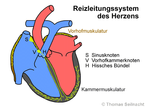 Bild vergrößern!