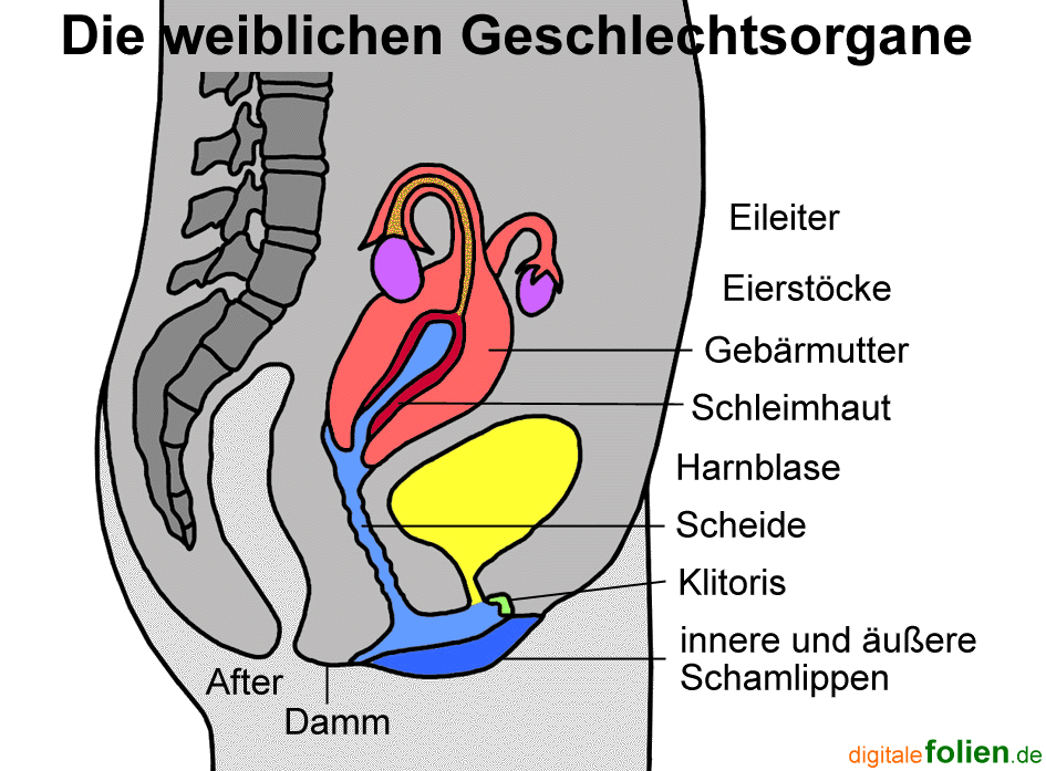 Fenster schlieen!