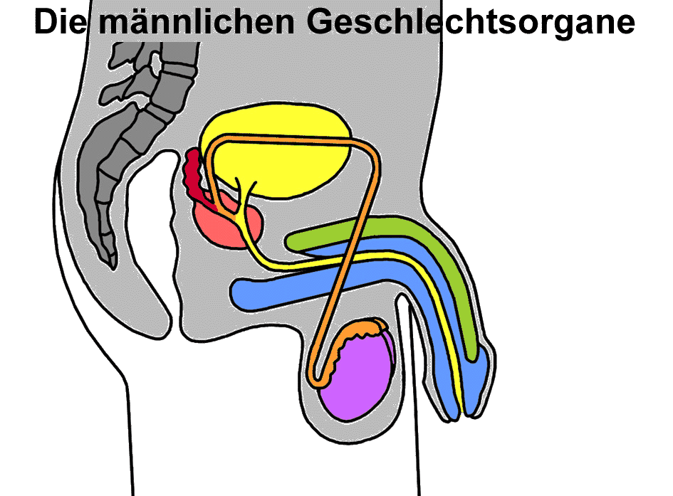 zu den Lsungen!