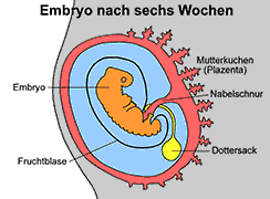 Bild vergrößern!