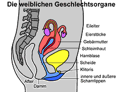 Bild vergrößern!