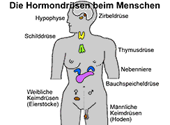 Bild vergrößern!