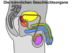 Bild vergrößern!