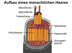 Bild vergrößern!