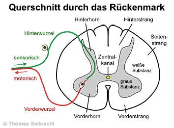 Bild vergrößern!