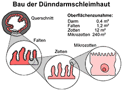 Bild vergrößern!