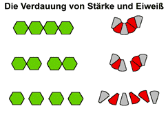 Bild vergrößern!