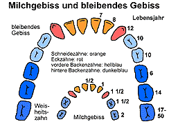 Bild vergrößern!