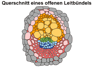 Bild vergrößern!