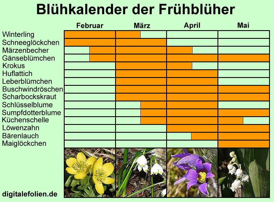 Fenster schlieen!