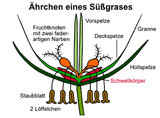 Bild vergrößern!