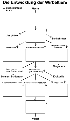 Bild vergrößern!