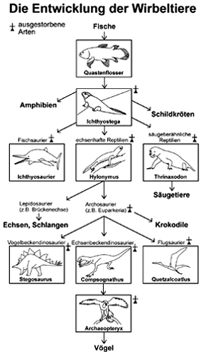 Bild vergrößern!