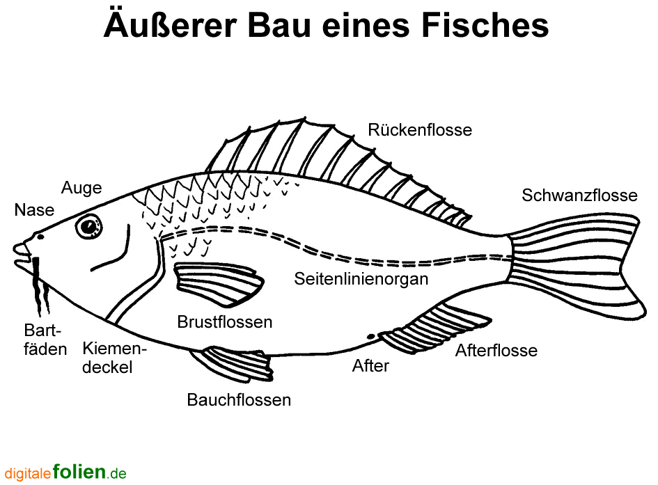 Fenster schlie�en!