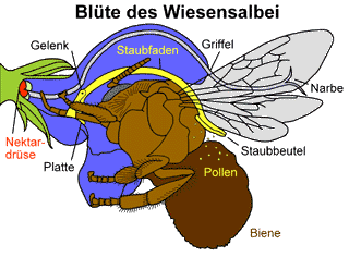 Bild vergrößern!