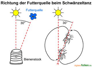 Bild vergrößern!