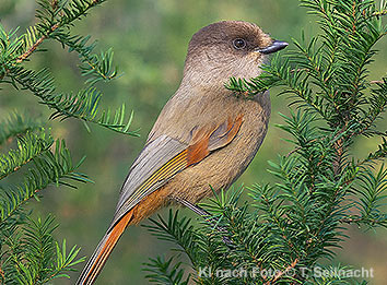 Bild vergr&ouml;&szlig;ern!