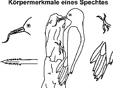 Bild vergrößern!