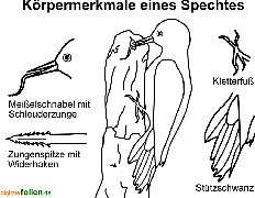 Bild vergrößern!