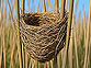 Nestbau