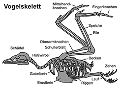 Bild vergrößern!