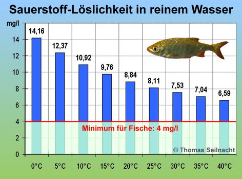 Bild vergrößern!