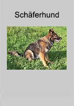 Heft Schferhund