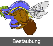 Bestaeubung