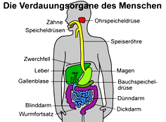 Bild vergrößern!